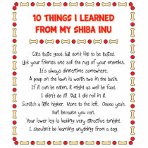 Funny Things I Learned From My Shiba Inu Acrylic Cut Outs