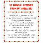 Funny Things I Learned From My Shiba Inu Acrylic Cut Outs