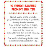 Funny Things I Learned From My Shih Tzu Photo Cutout