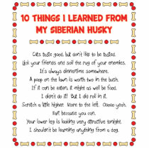 Funny Things I Learned From My Siberian Husky Photo Sculptures