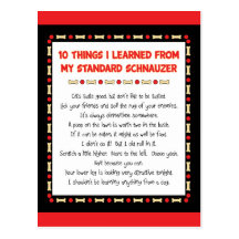 Funny Things I Learned From My Standard Schnauzer Post Card