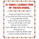 Funny Things I Learned From My Tibetan Spaniel Photo Sculpture