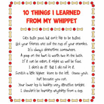 Funny Things I Learned From My Whippet Acrylic Cut Out