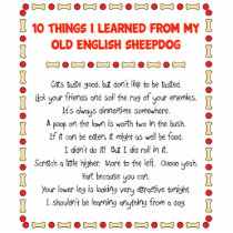 Funny Things I Learned From Old English Sheepdog Photo Cut Out