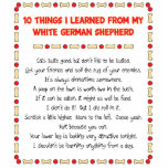 Funny Things I Learned From White German Shepherd Photo Sculpture