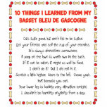 Funny Things Learned From Basset Bleu de Gascogne Photo Cutouts
