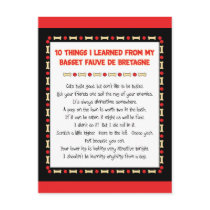 Funny Things Learned From Basset Fauve de Bretagne Postcards