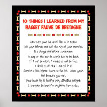 Funny Things Learned From Basset Fauve de Bretagne Print