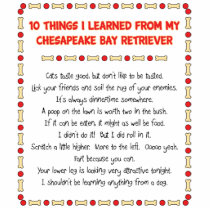 Funny Things Learned From Chesapeake Bay Retriever Photo Sculptures