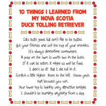 Funny Things Learned From Nova Scotia Duck Toller Photo Cut Out