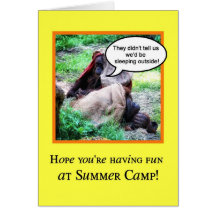 Funny Thinking of You, Summer Camp, Orangutans Cards