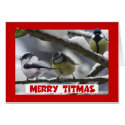 Funny tits Christmas cards by Cardsharkkid Funny tits Christmas cards
