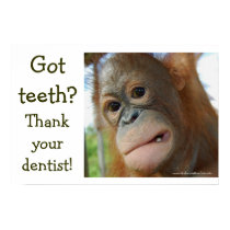 Funny Tooth Gratitude posters by Rebecca_Reeder Funny Tooth Gratitude posters