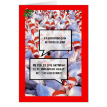 Funny Turkey Christmas cards