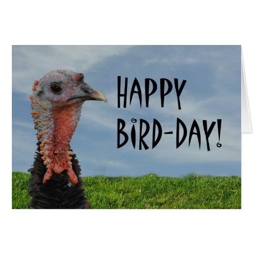 funny-ugly-turkey-happy-thanksgiving-birthday-card-zazzle