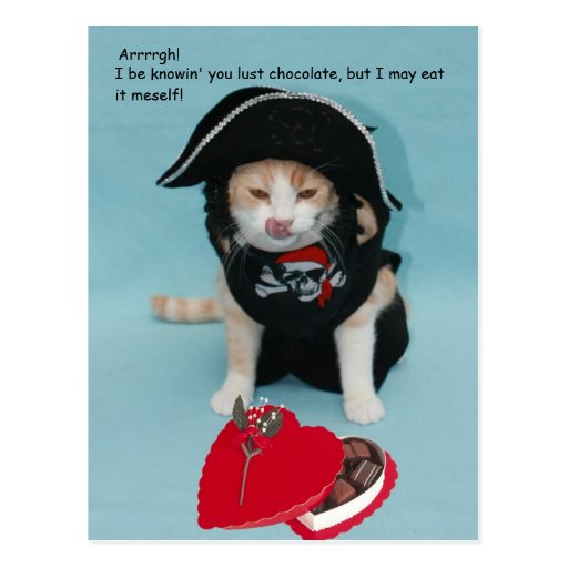 Funny Valentine for Friend or Family Postcard | Zazzle