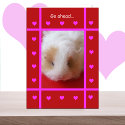 Funny Valentine -- Piggish cards by GuineaPigShop Funny Valentine -- Piggish cards