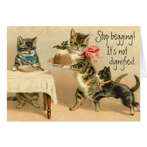 Funny Vintage Cat Christmas Card | Zazzle