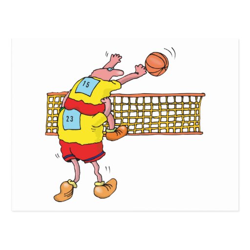 Funny Volleyball Gift Postcard Zazzle