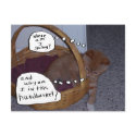 Funny "Why Am I In This Handbasket?" postcards