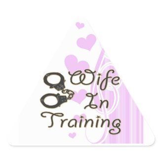  100 Favorite Bridal Stickers
