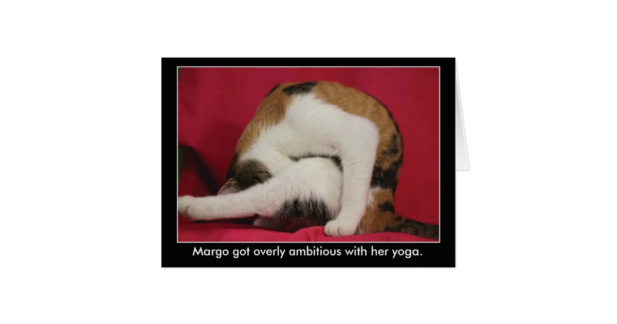 shower baby games z Card Zazzle Birthday Yoga Funny Cat shower baby games z Card Zazzle Birthday Yoga Funny Cat