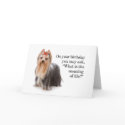 Funny Yorkie Card card