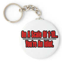 Funny You're an Idiot Insult keychains