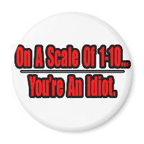Funny You're an Idiot Insult magnets