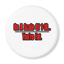 Funny You're Fat Insult magnets