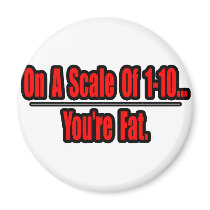 Funny You're Fat Insult magnets