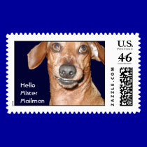 Funy Little Dachshund Postage stamps stamps