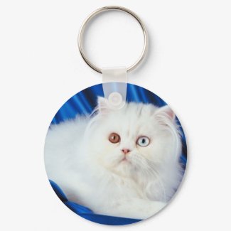 Fur Ball keychain