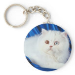 Fur Ball keychains