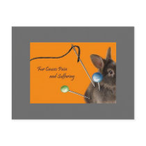 Fur Causes Pain & Suffering postcards