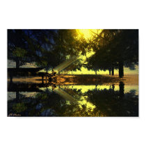 fur Elise posters by jcmartins fur Elise posters