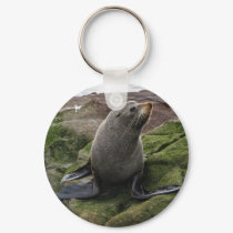 Fur Seal keychains by J32Teez Fur Seal keychains