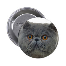 Furball Buttons