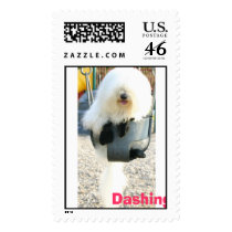 FURBY1, Dashing Dogs postage by SalesAcademy FURBY1, Dashing Dogs postage