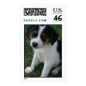 FURever Friends Humane Society beagle postage postage by FureverFriends FURever Friends Humane Society beagle postage postage