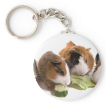 furnace guinea pigs who eat, keychain
