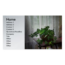 Furniture - Ivy in a window  business cards