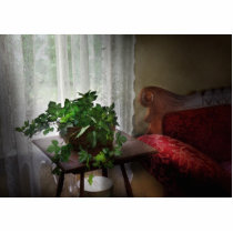 Furniture - Ivy in a window Photo Cutouts