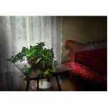 Furniture - Ivy in a window Photo Cutouts