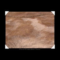 Furred posters by marlodianne Furred posters