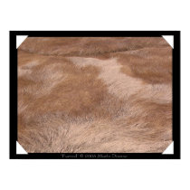 Furred posters by marlodianne Furred posters