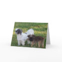 Furrever Friends cards