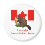 Furry Beaver Fridge Magnets