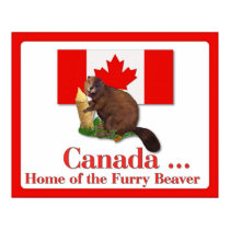 Furry Beaver Poster posters