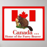 Furry Beaver Poster posters